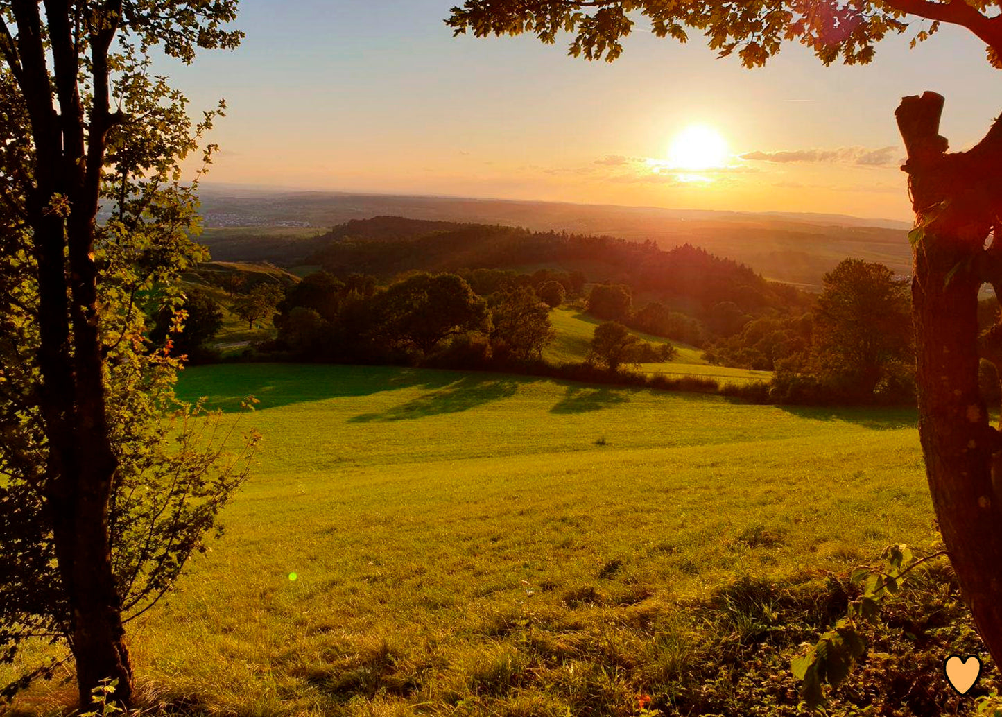 Postkarte Sonnenaufgang