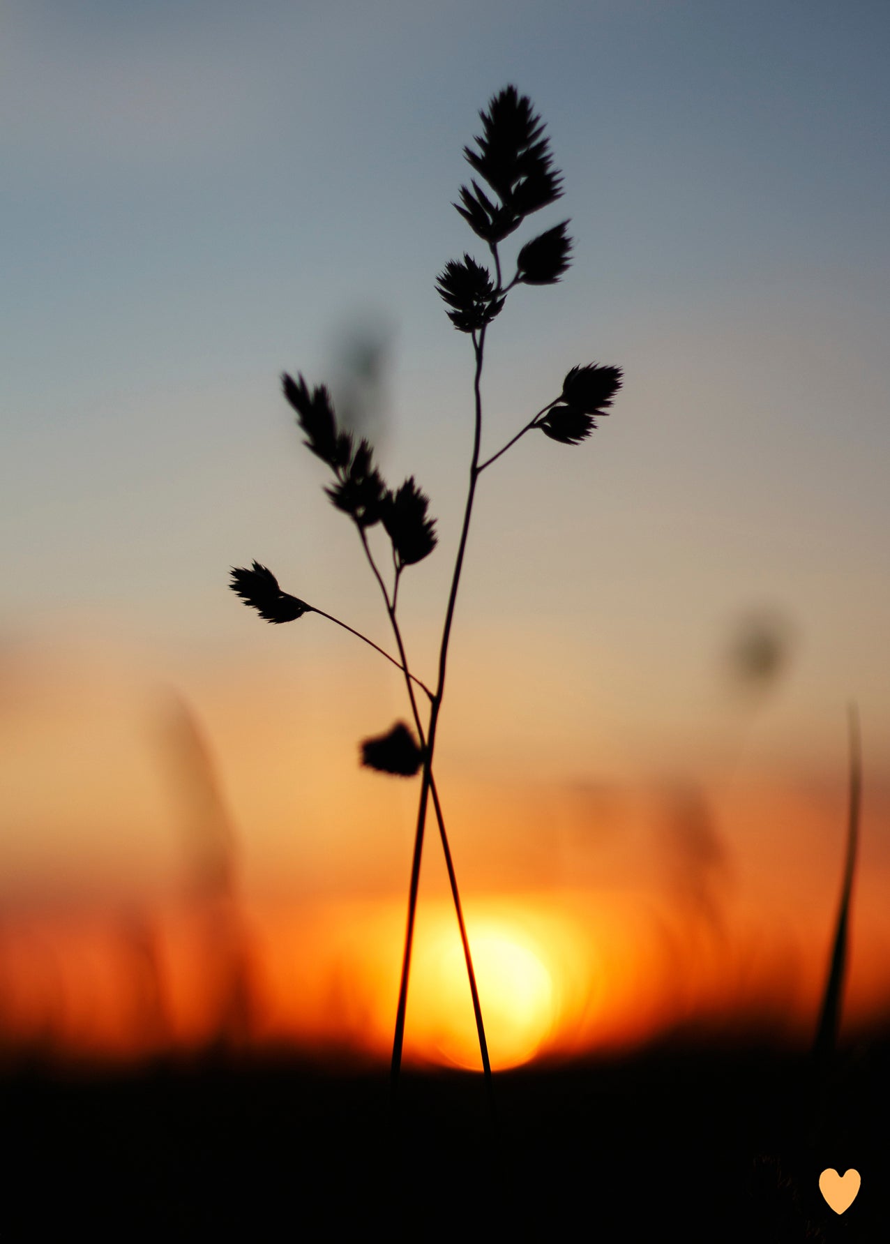 Postkarte Sonnenuntergang
